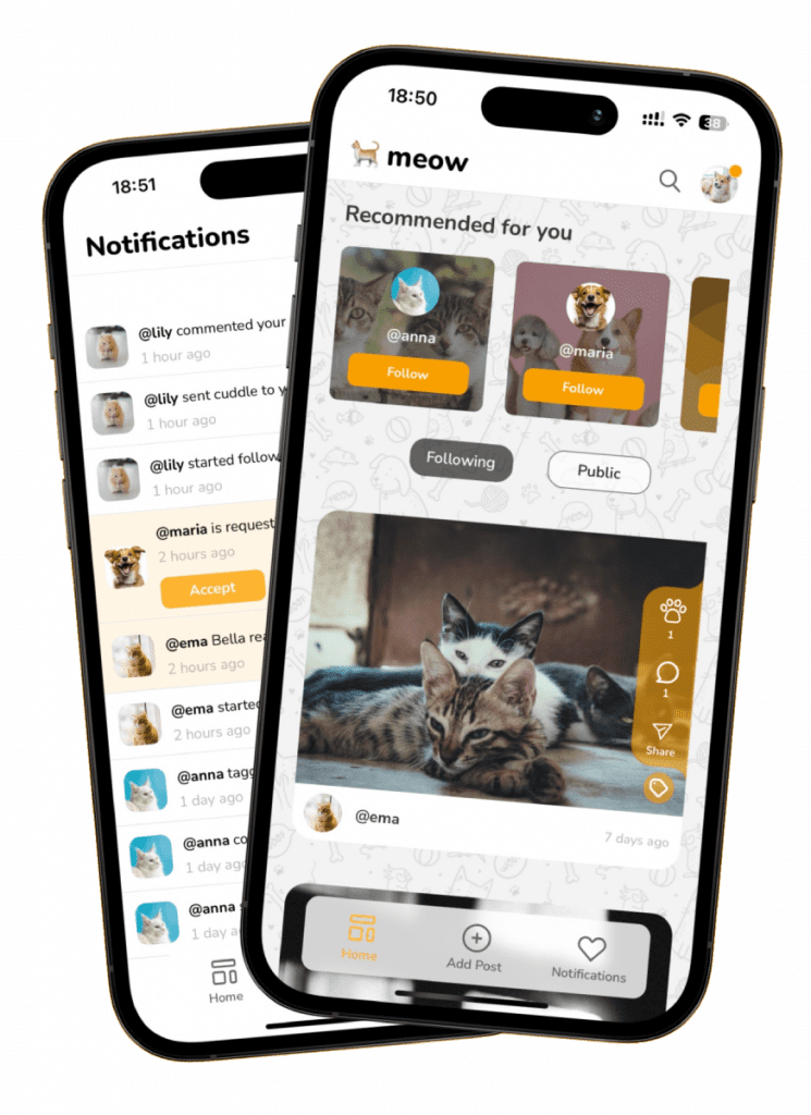 Petigo app