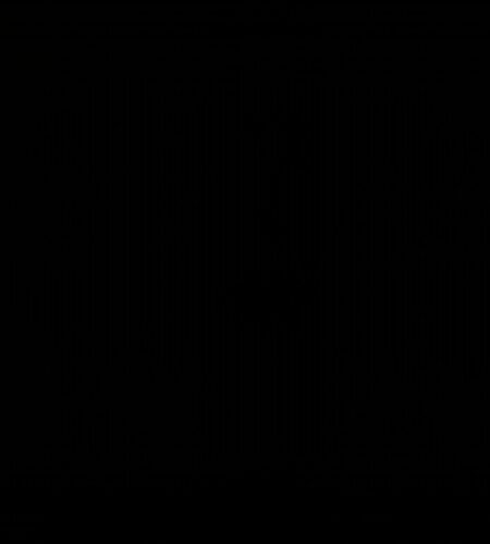 tiktok sans la nouvelle typo qui revolutionne 2025