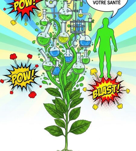 arkopharma relance sa marque avec belle